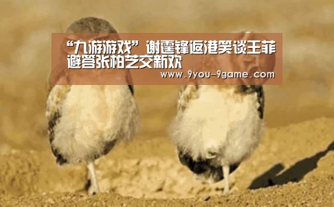 “九游游戏”谢霆锋返港笑谈王菲 避答张柏芝交新欢(图1) 九游官网
