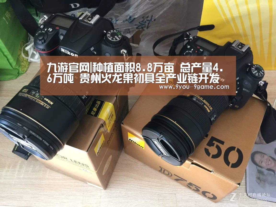 九游游戏